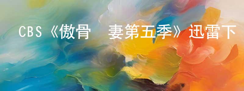 陳梓健發布CBS《傲骨賢妻第五季》迅雷下載/在線觀看/百度云-都市/情感-美劇天堂